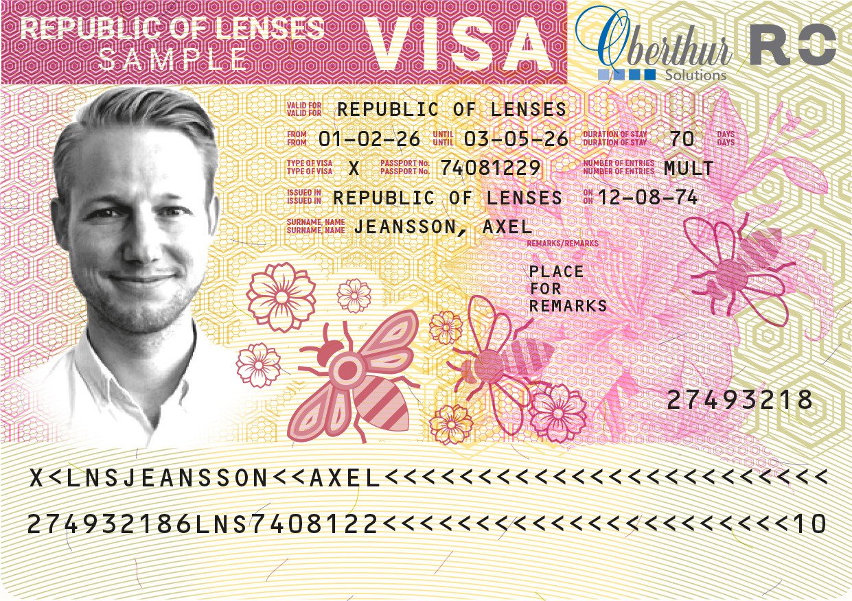 Visa simulation