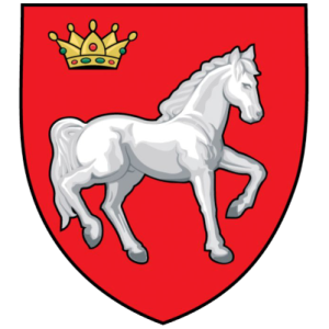 Iași County Council