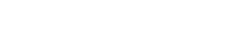 OVD Kinegram